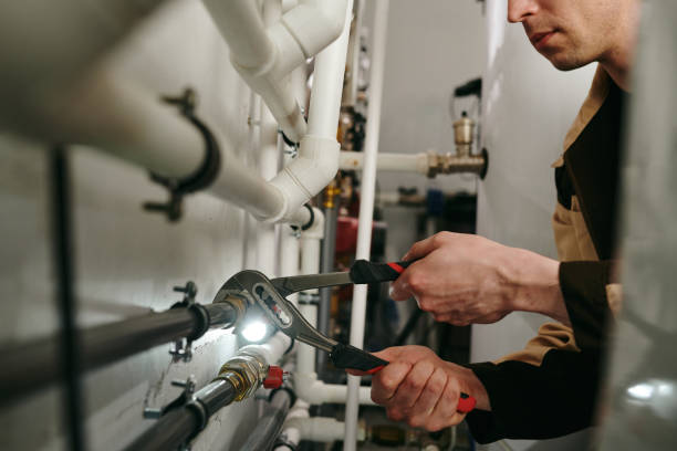 Best Residential Plumbing Services  in Shawneetown, IL