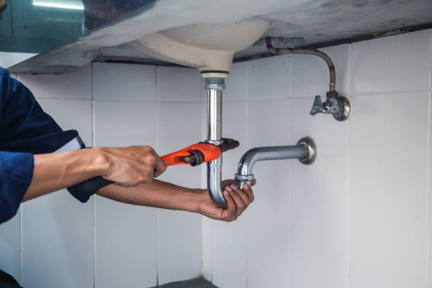 Best Faucet Repair  in Shawneetown, IL
