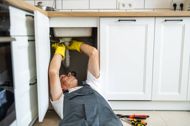Best Affordable Plumber Near Me  in Shawneetown, IL