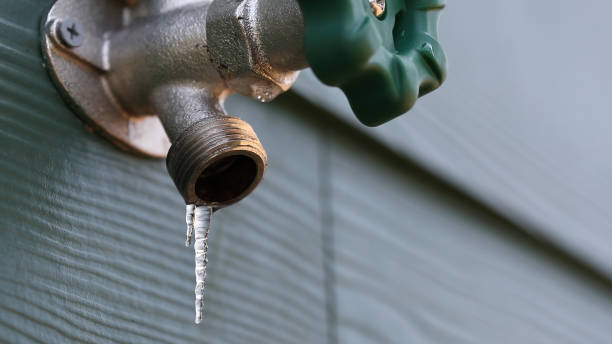 Best Sewer Line Repair  in Shawneetown, IL